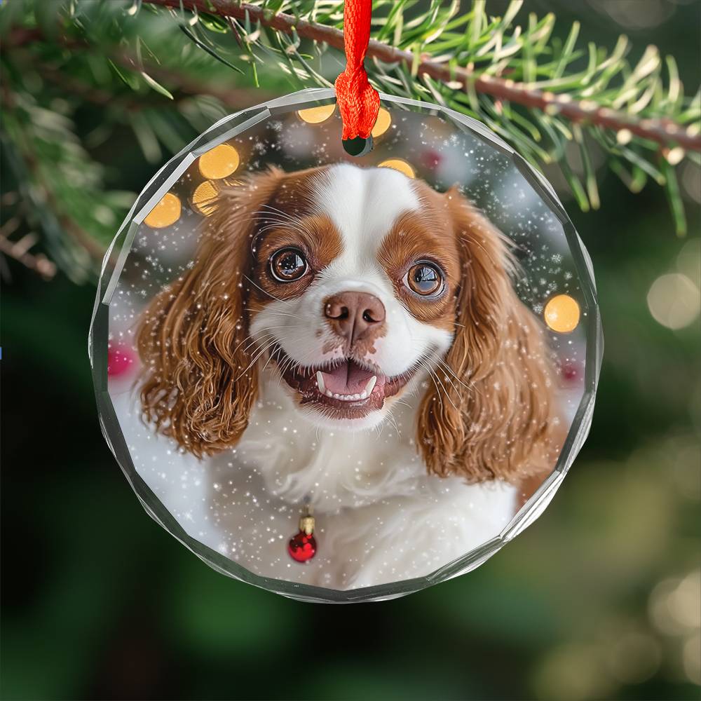 Beautiful Angus Cavalier King Charles Spaniel Dog Christmas Night Design 2 Glass Ornament