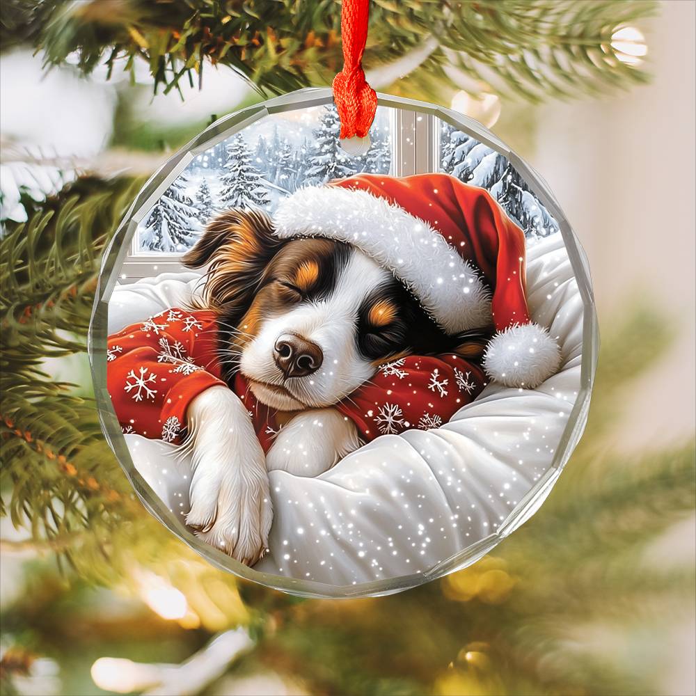 Border Collie Dog Sleeping In Bed Design 1