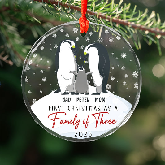 Custom Couple First Christmas