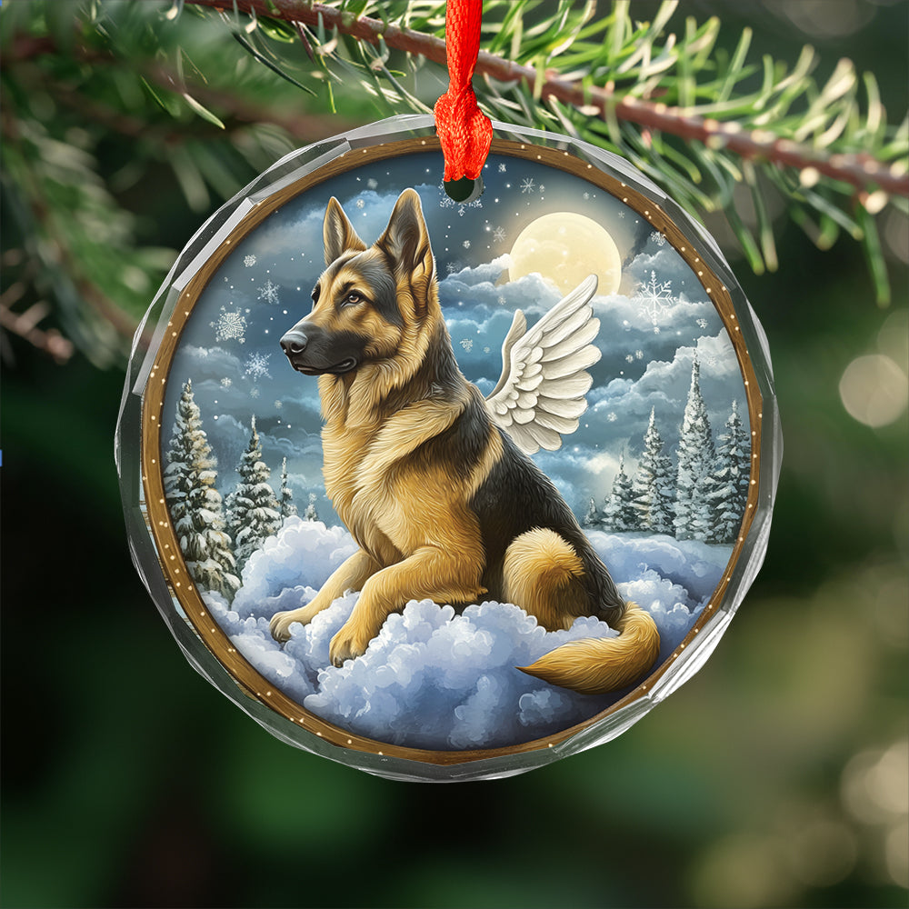 Angel German Shepherd Dog 4