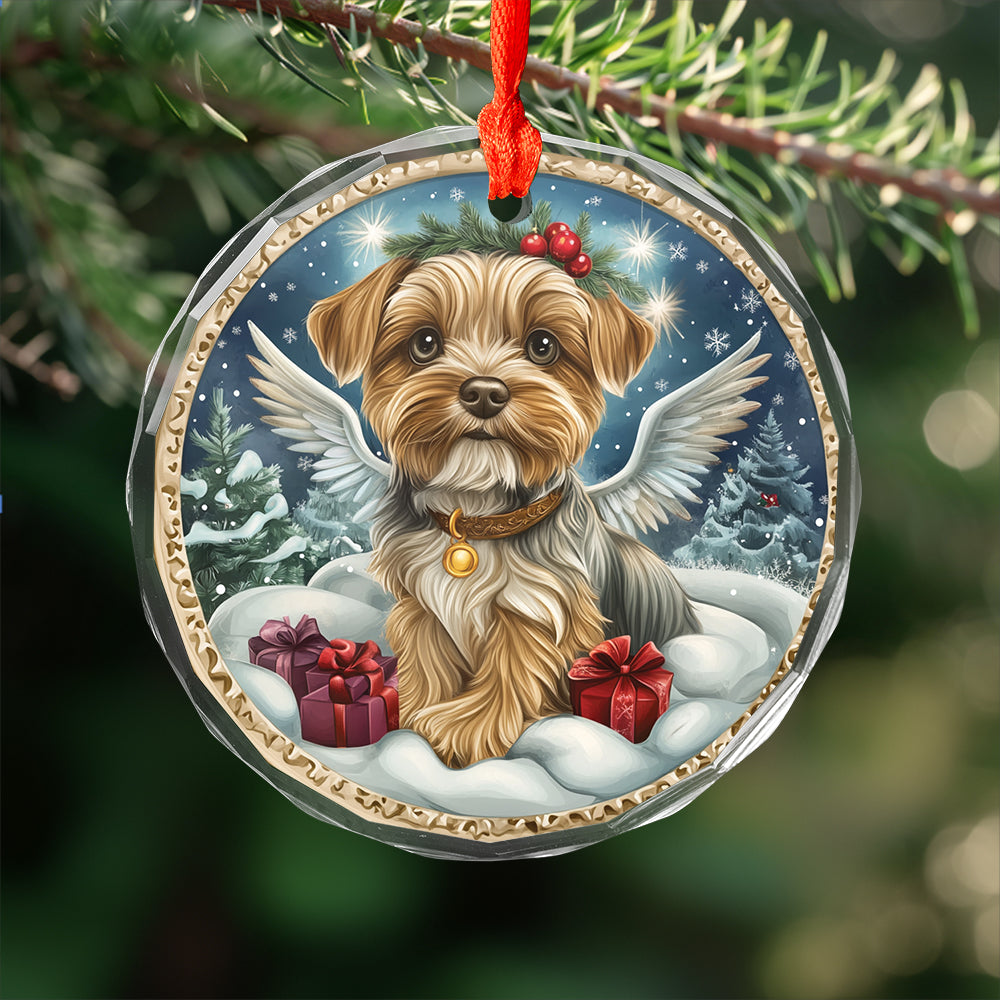 Angel Yorkshire Terrier Dog 4