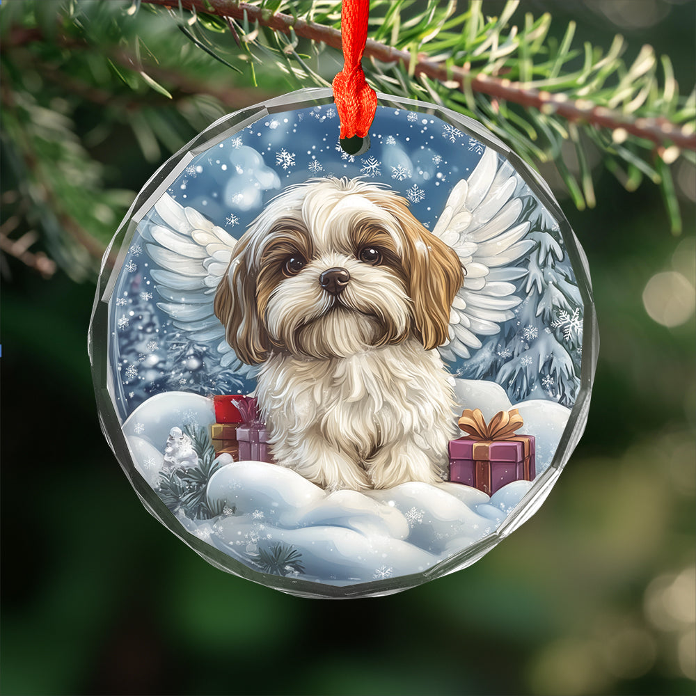 Angel Shih Tzu Dog 2