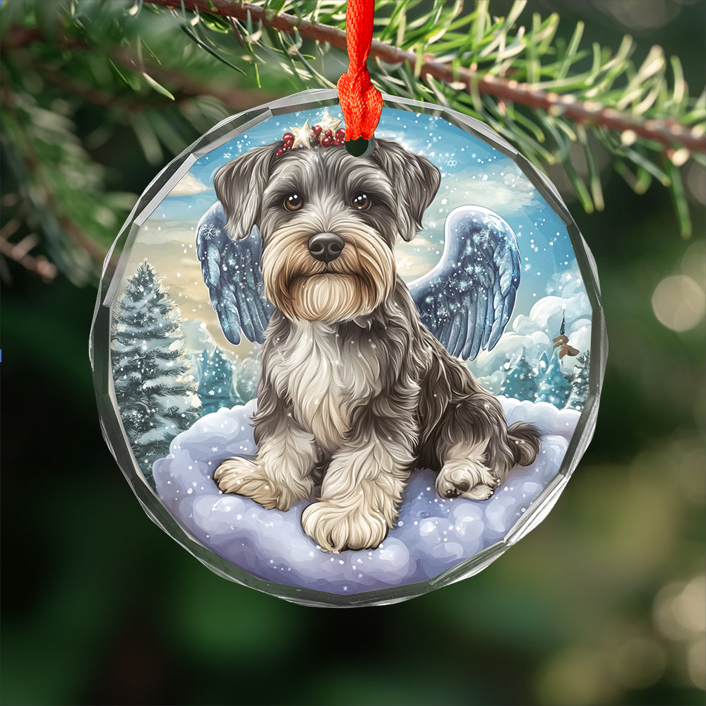 Angel Miniature Schnauzer Dog 1