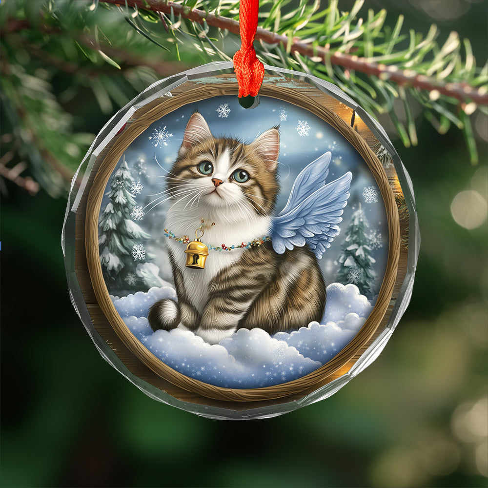 Angel Norwegian Forest Cat 3