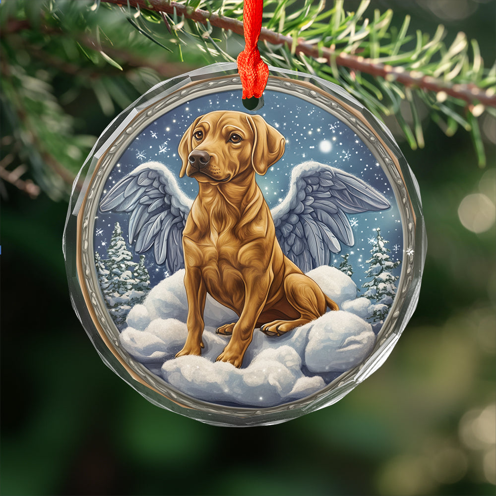 Angel Rhodesian Ridgeback Dog 3
