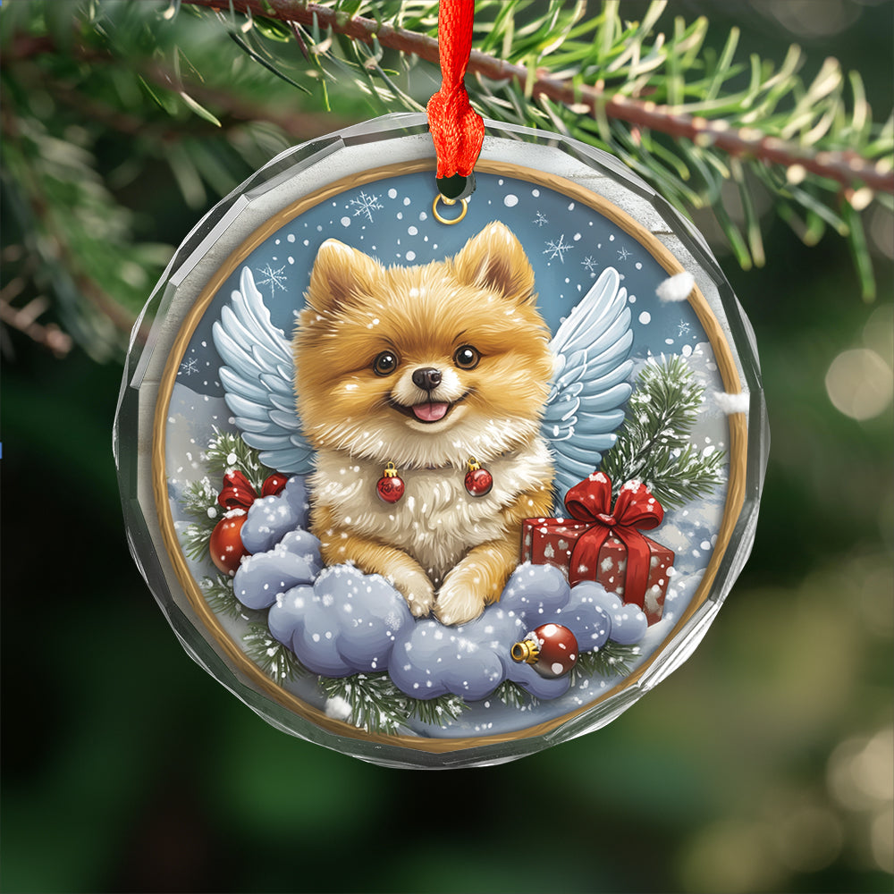 Angel Pomeranian Dog 2