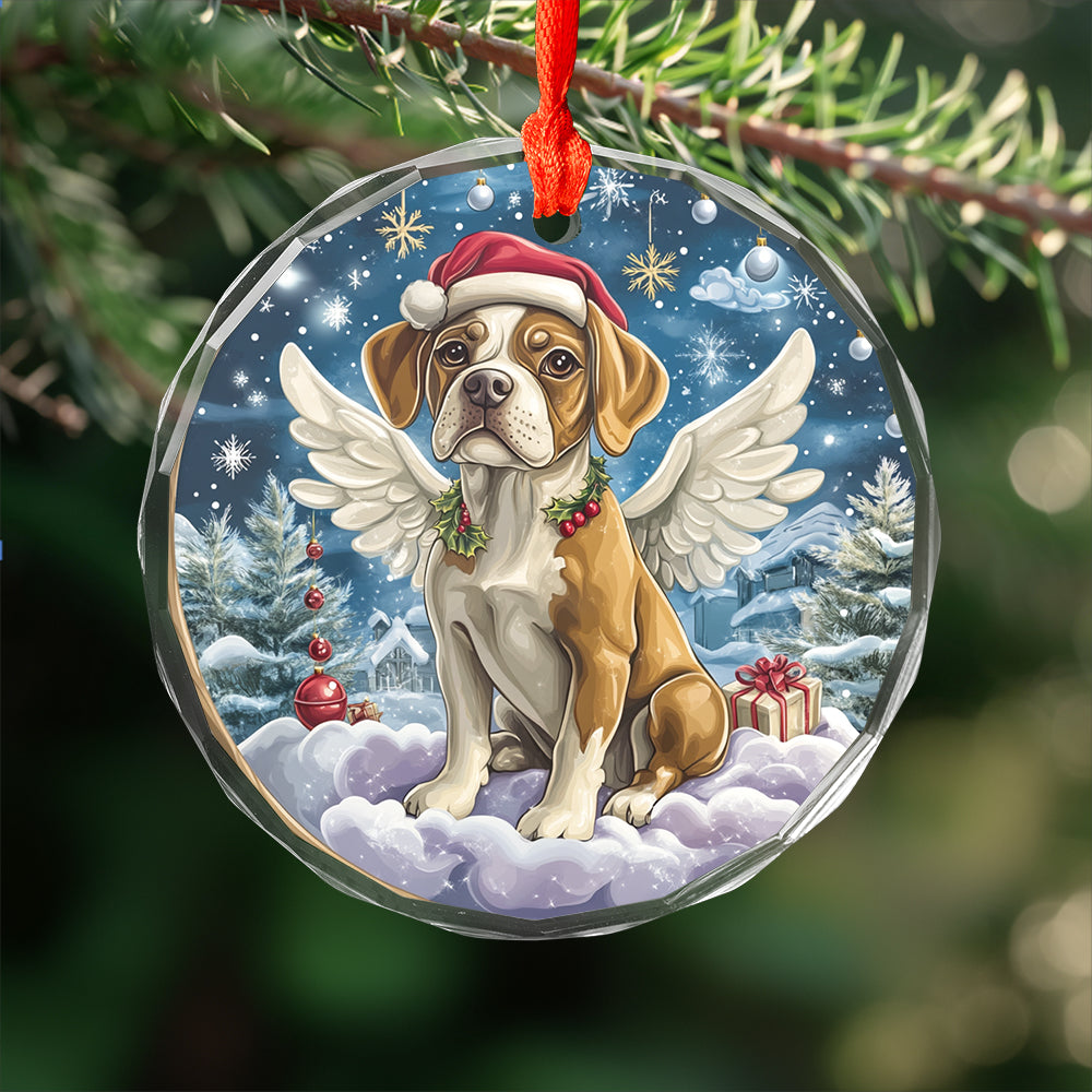 Angel Boxer Dog 3