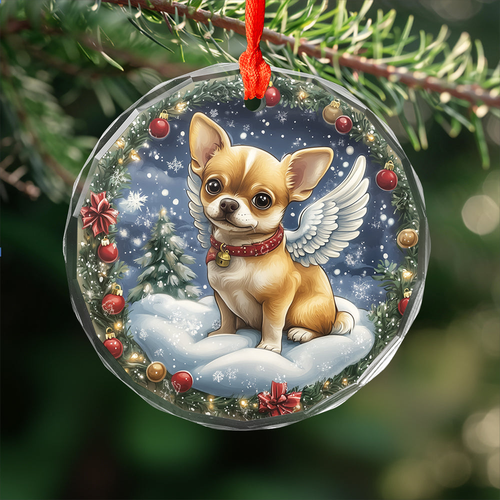 Angel Chihuahua Dog 2