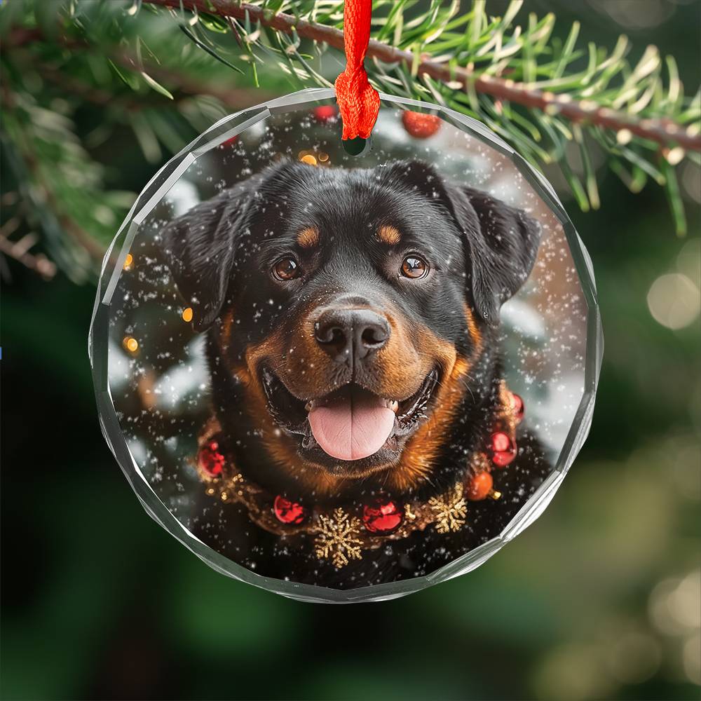 Beautiful Angus Rottweiler Dog Christmas Night Design 2 Glass Ornament