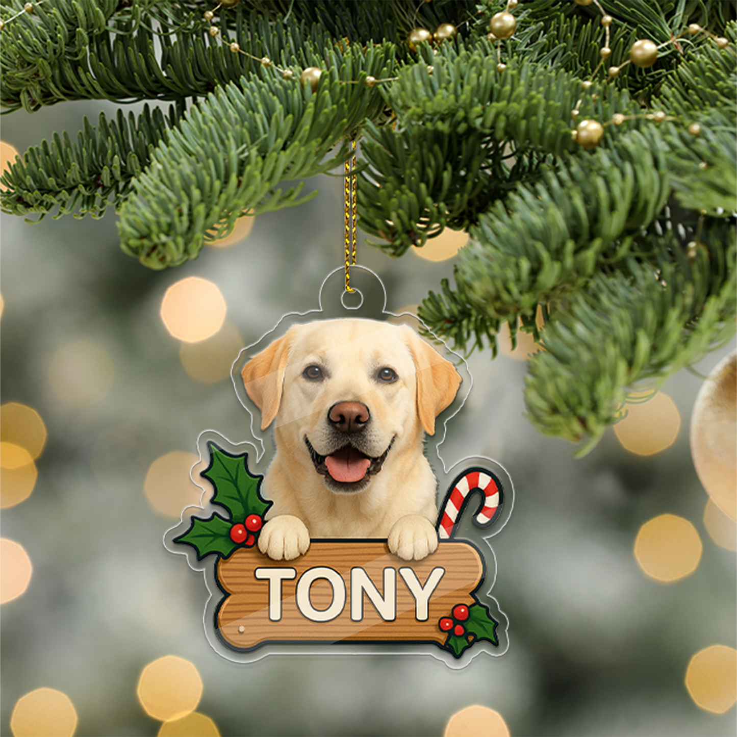 Personalized Pet Ornament, Custom Dog Christmas Ornament, Pet Ornament Using Photo, Cat Christmas Photo Ornament, Pet Portrait Name Gift