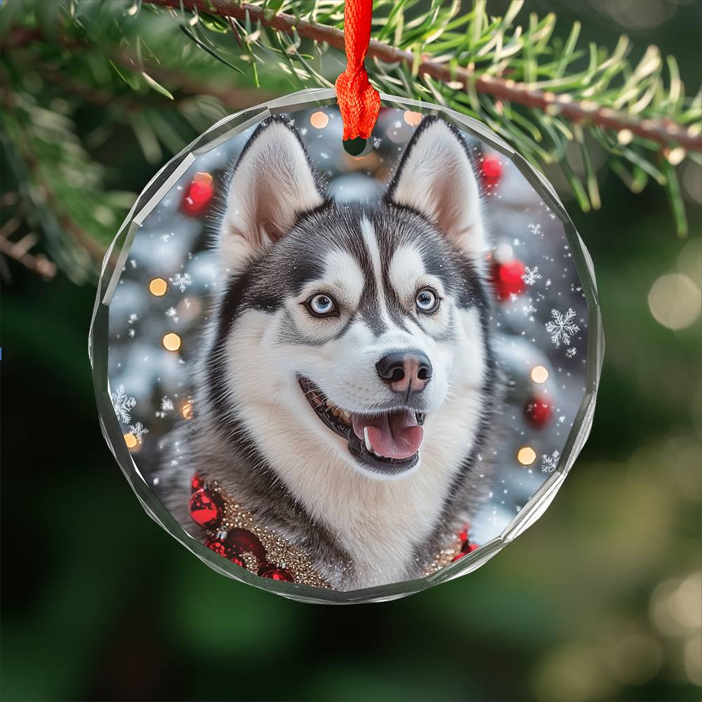 Beautiful Angus Huskie Dog Christmas Night Design 3 Glass Ornament