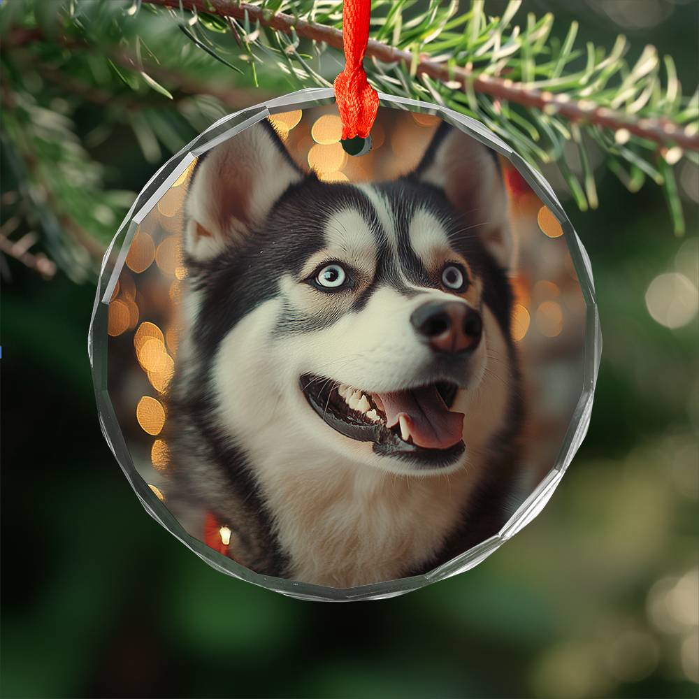 Beautiful Angus Huskie Dog Christmas Night Design 1 Glass Ornament