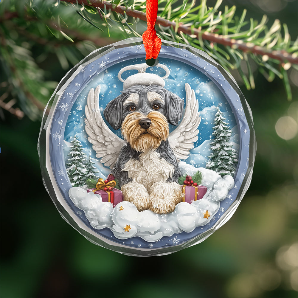Angel Miniature Schnauzer Dog 3