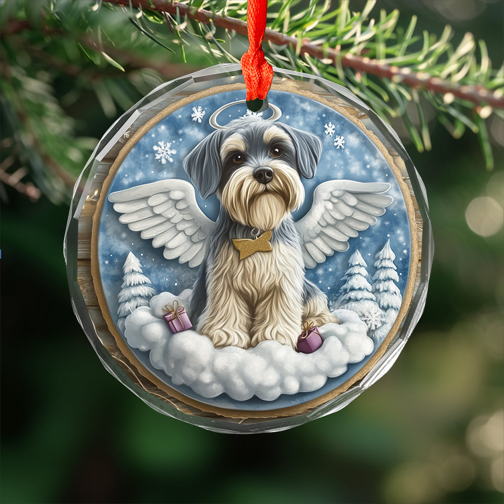 Angel Miniature Schnauzer Dog 2