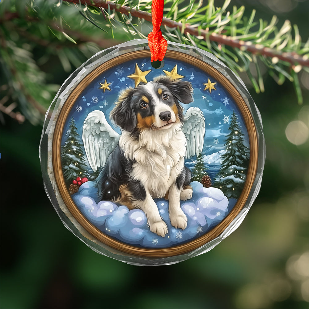 Angel Australian Shepherd Dog 2