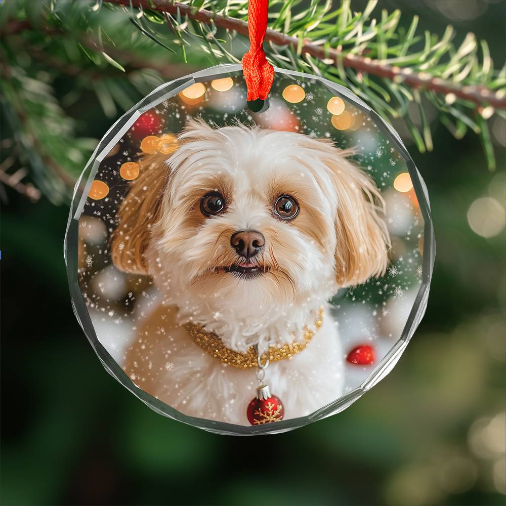 Beautiful Havanese Dog Christmas Night Design 4 Glass Ornament
