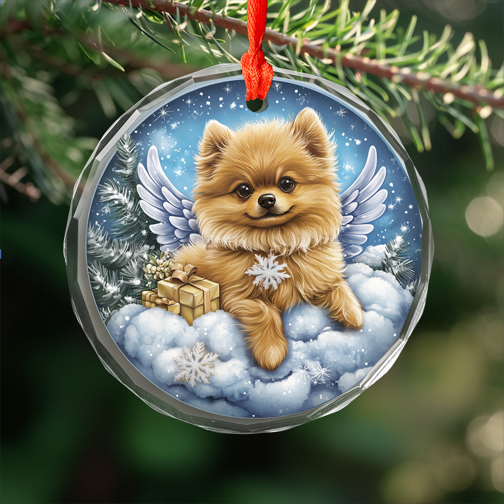 Angel Pomeranian Dog 1