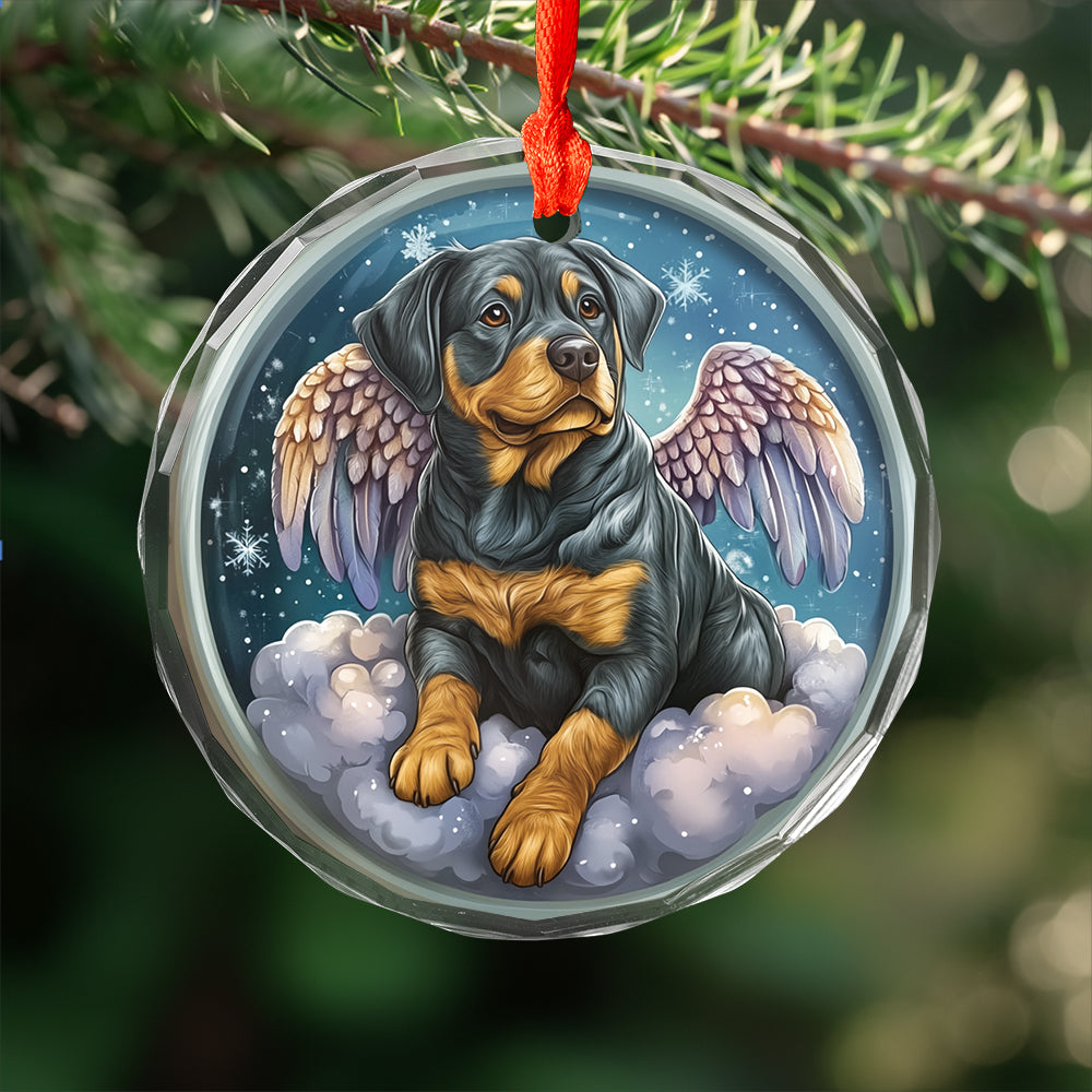 Angel Rottweiler Dog 4