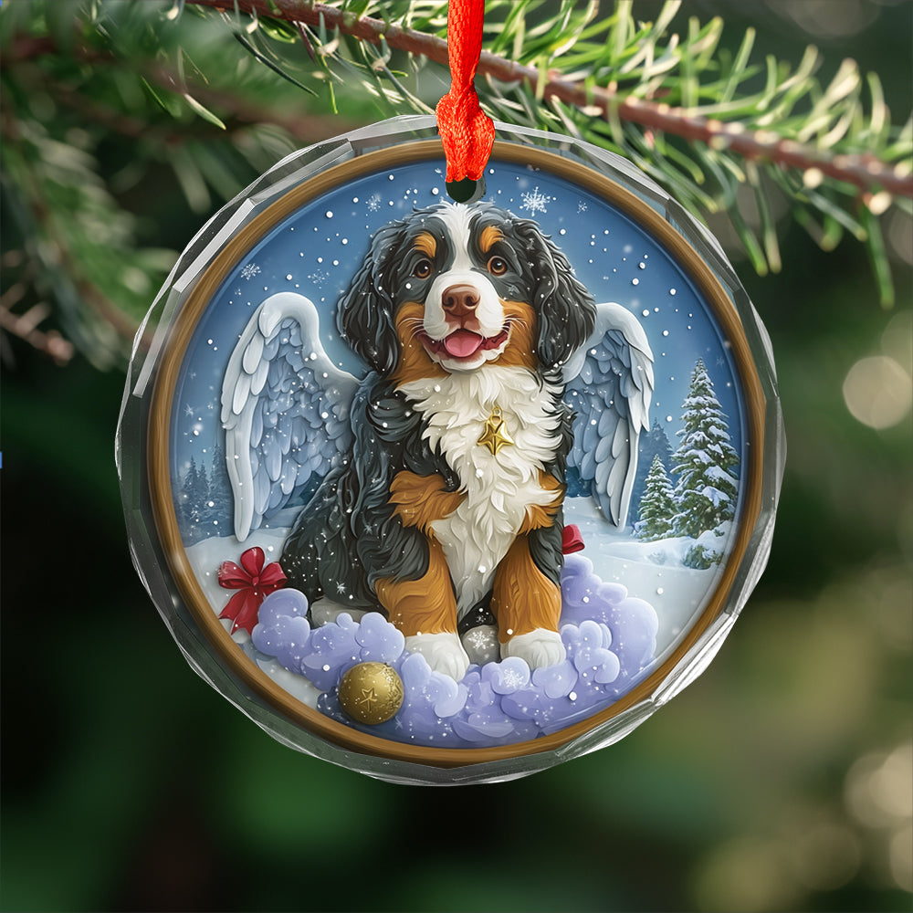 Angel Bernese Mountain Dog 1