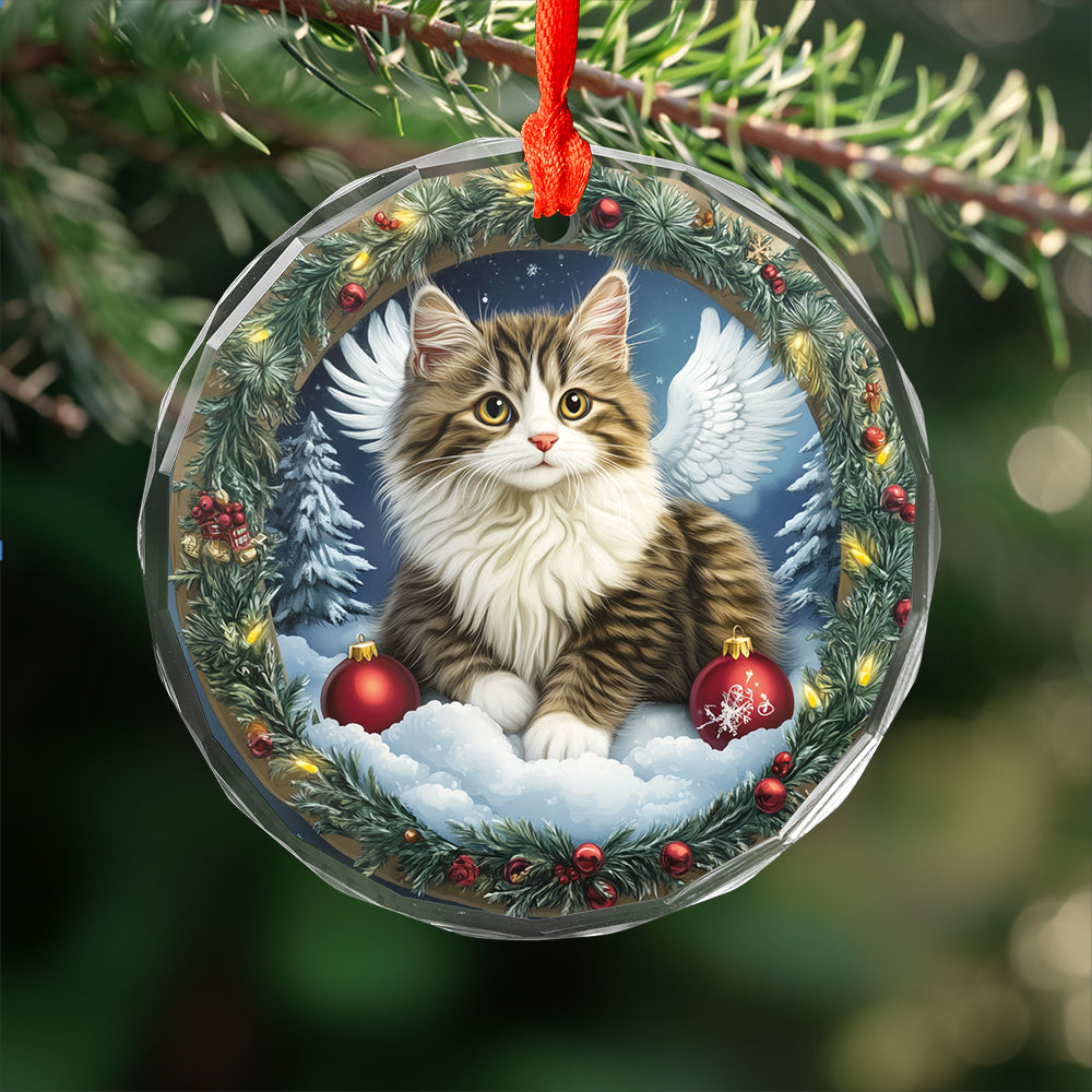 Angel Siberian Cat 1