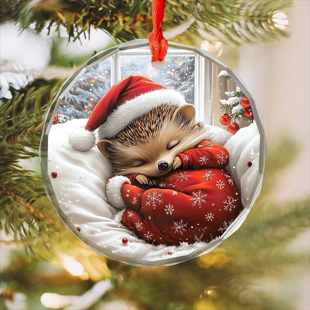 Hedgehog Sleeping In Bed Design 4