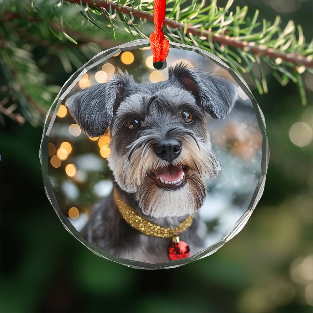 Beautiful Angus Miniature Schnauzer Dog Christmas Night Design 2 Glass Ornament