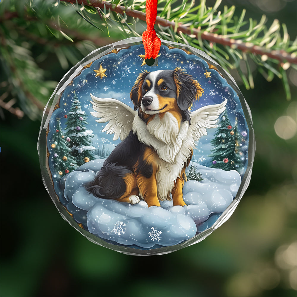 Angel Australian Shepherd Dog 1