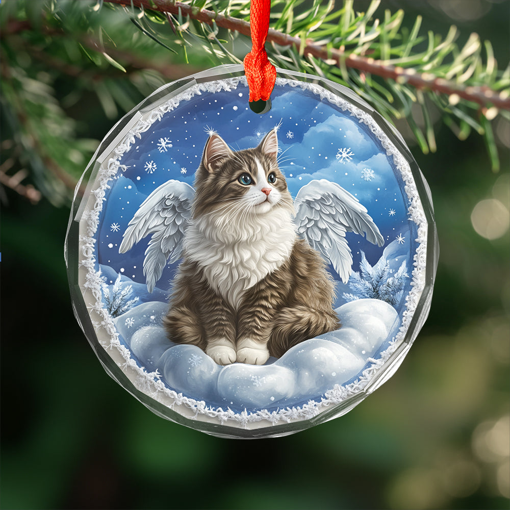 Angel Norwegian Forest Cat 4