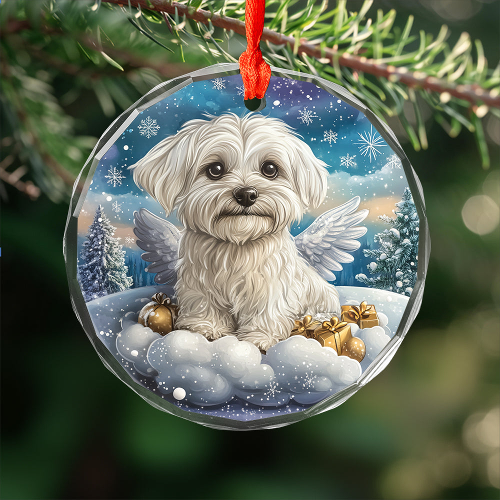 Angel Maltese Dog 2