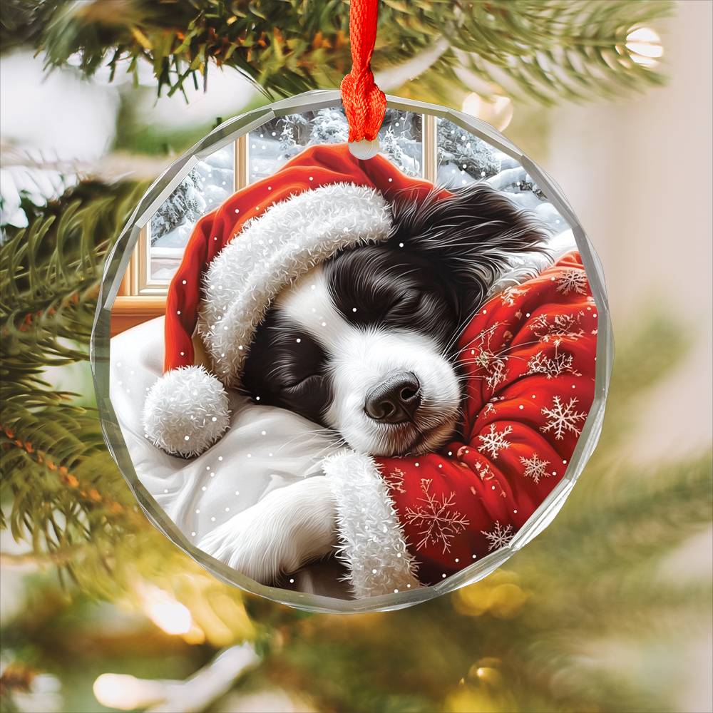 Border Collie Dog Sleeping In Bed Design 3