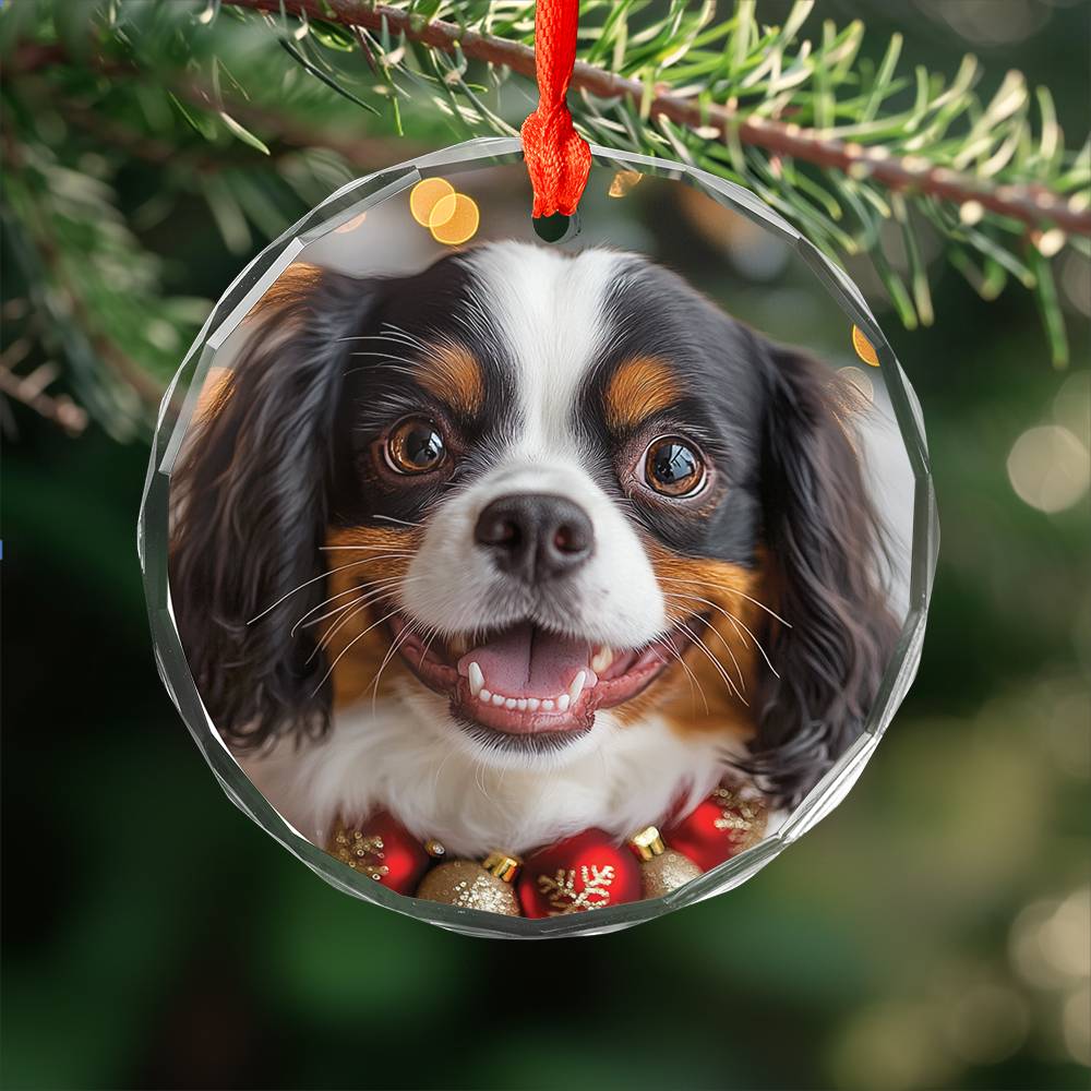 Beautiful Angus Cavalier King Charles Spaniel Dog Christmas Night Design 3 Glass Ornament