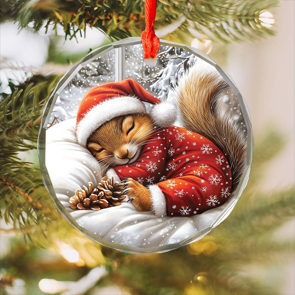 Squirrel Sleeping In Bed Design 2