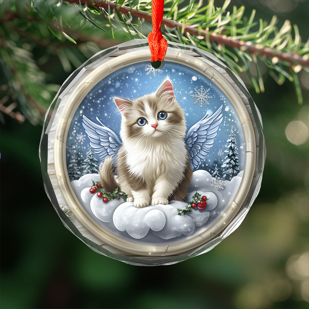 Angel Ragdoll Cat 2