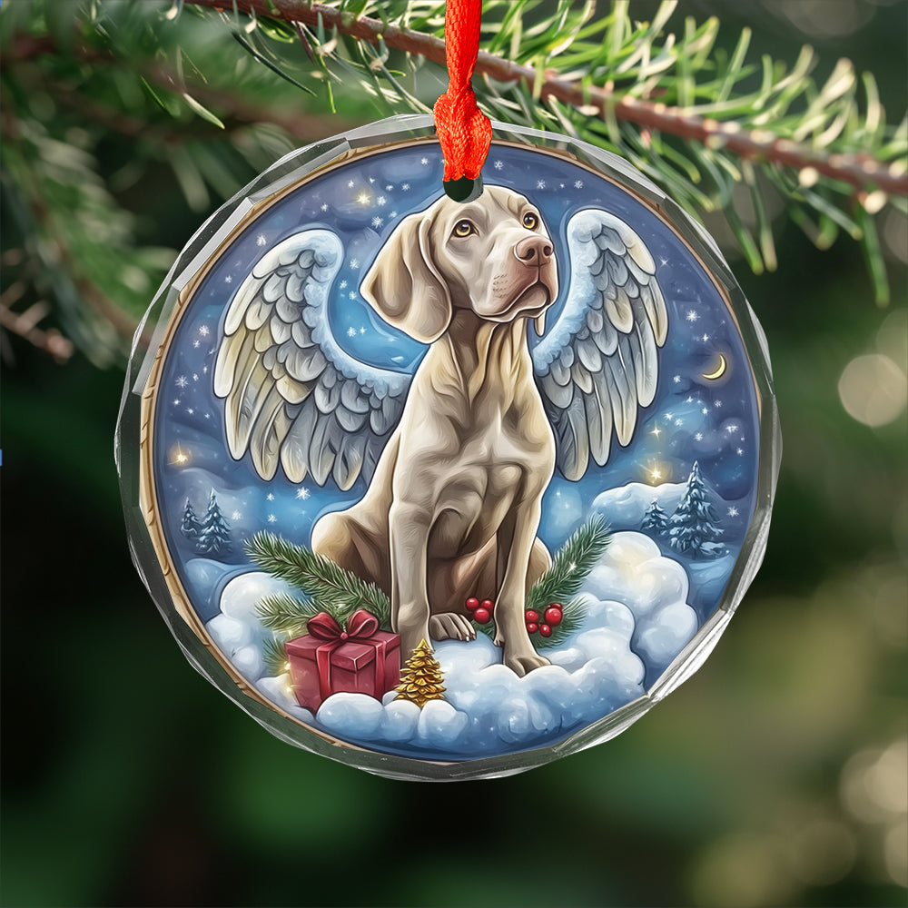 Angel Weimaraner Dog 3