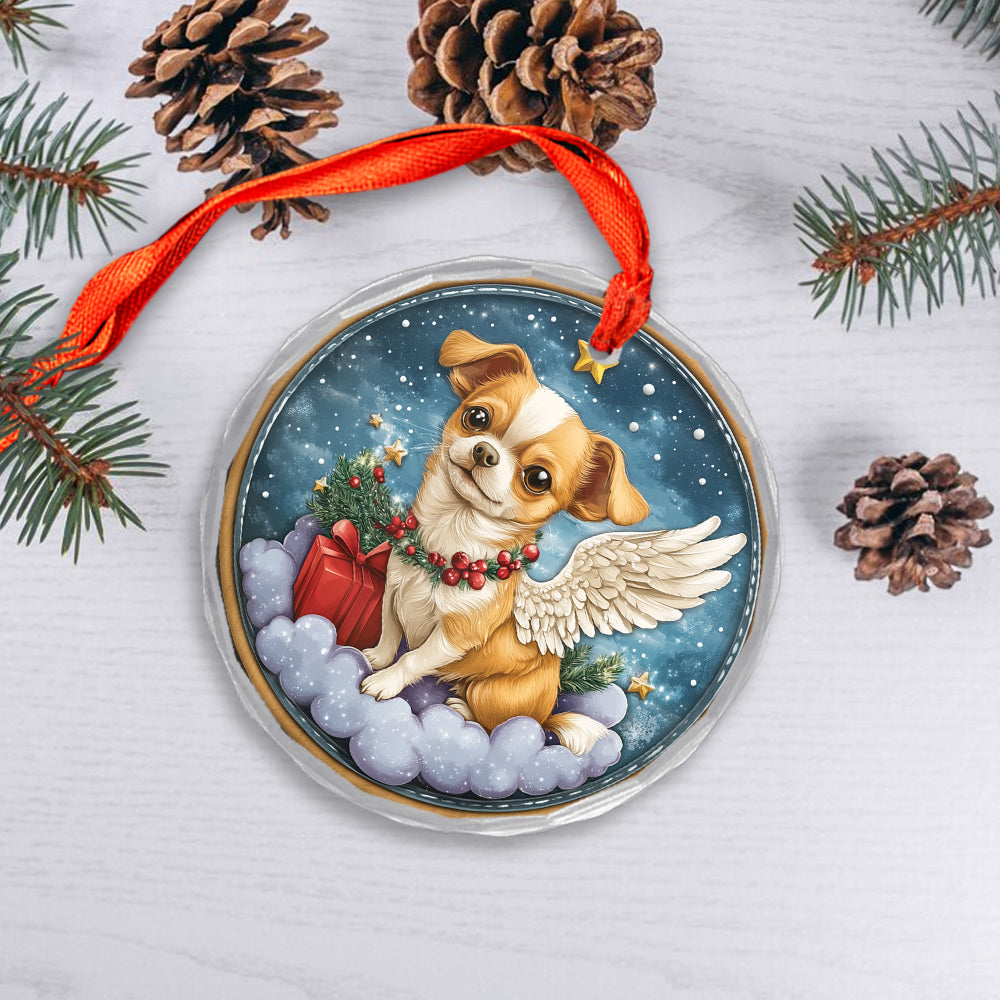 Angel Chihuahua Dog 1
