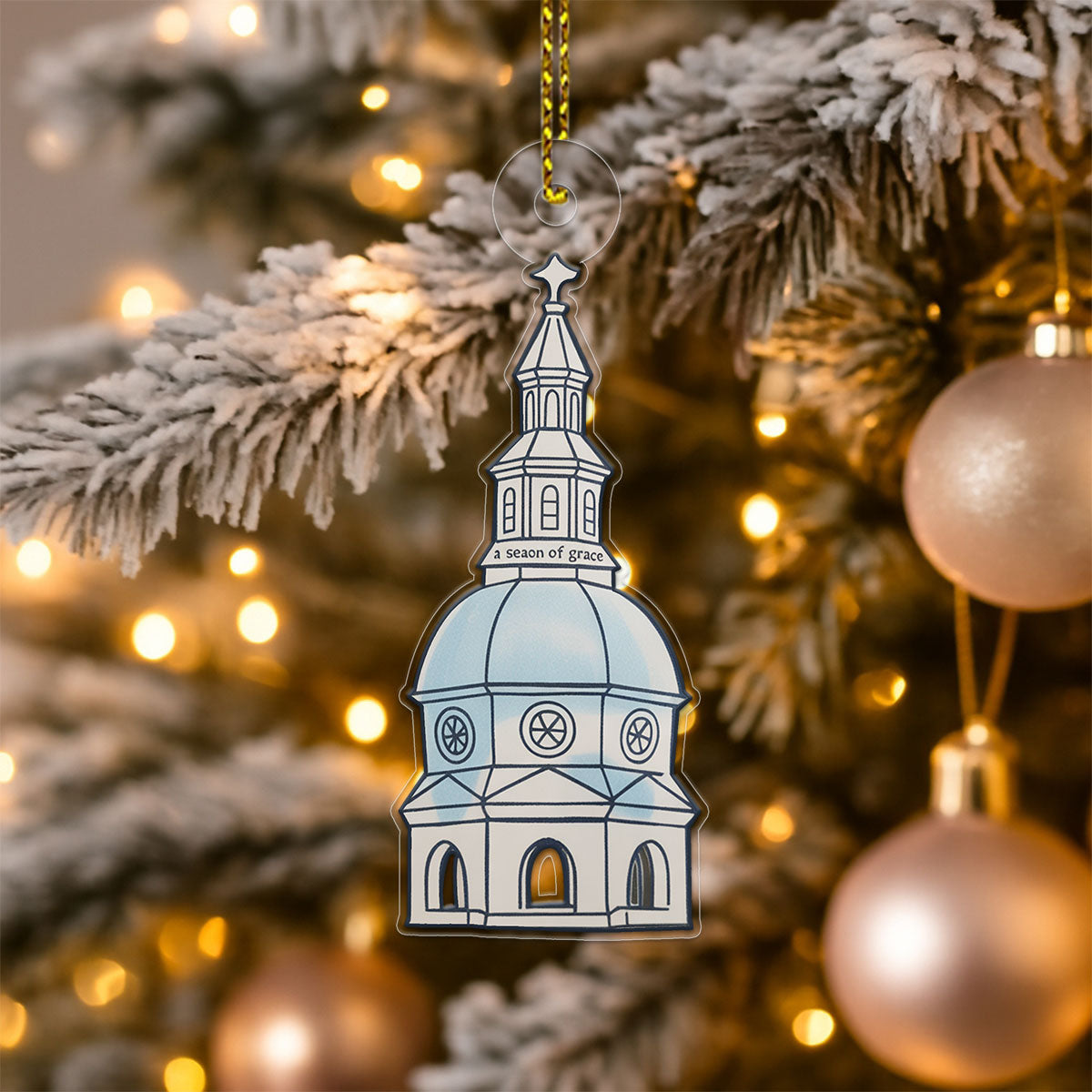 Custom Trendy State House