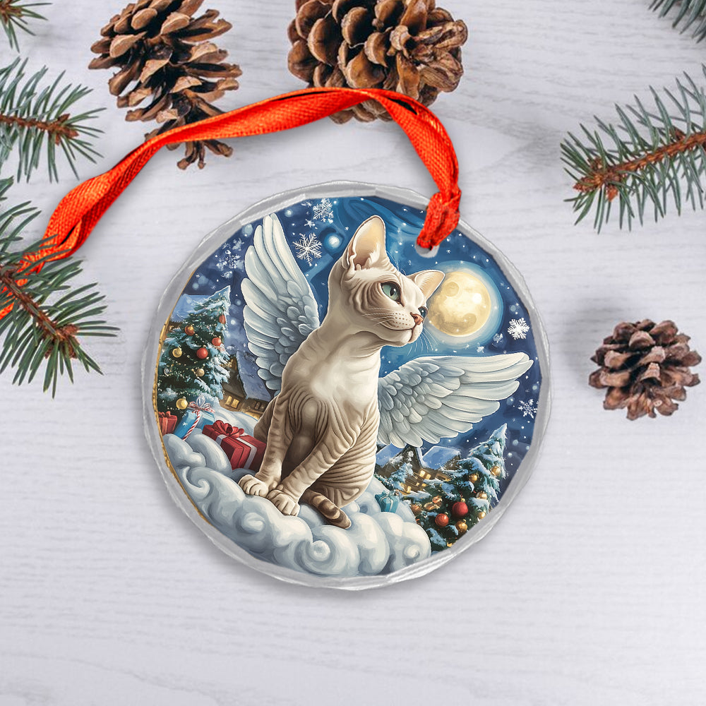 Angel Sphynx Cat 4