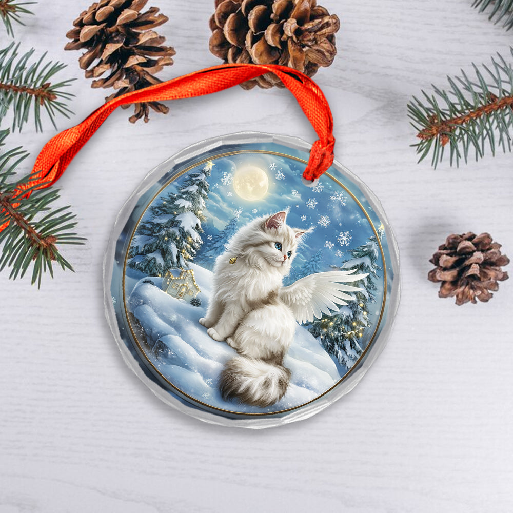 Angel Turkish Angora 4
