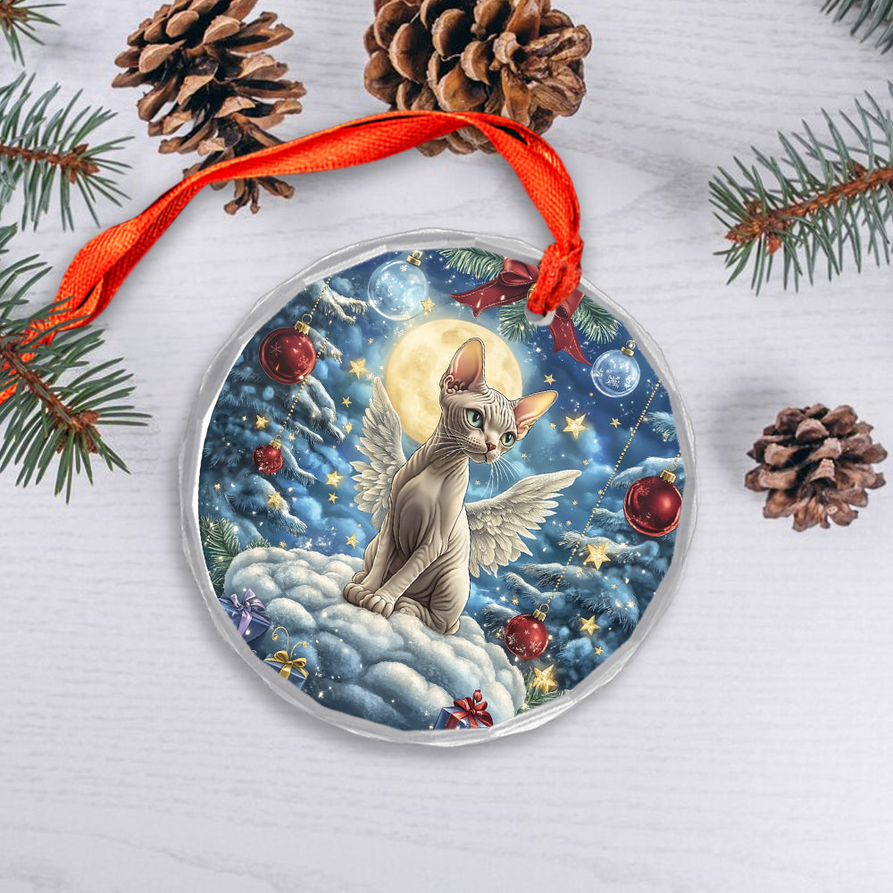 Angel Sphynx Cat 3
