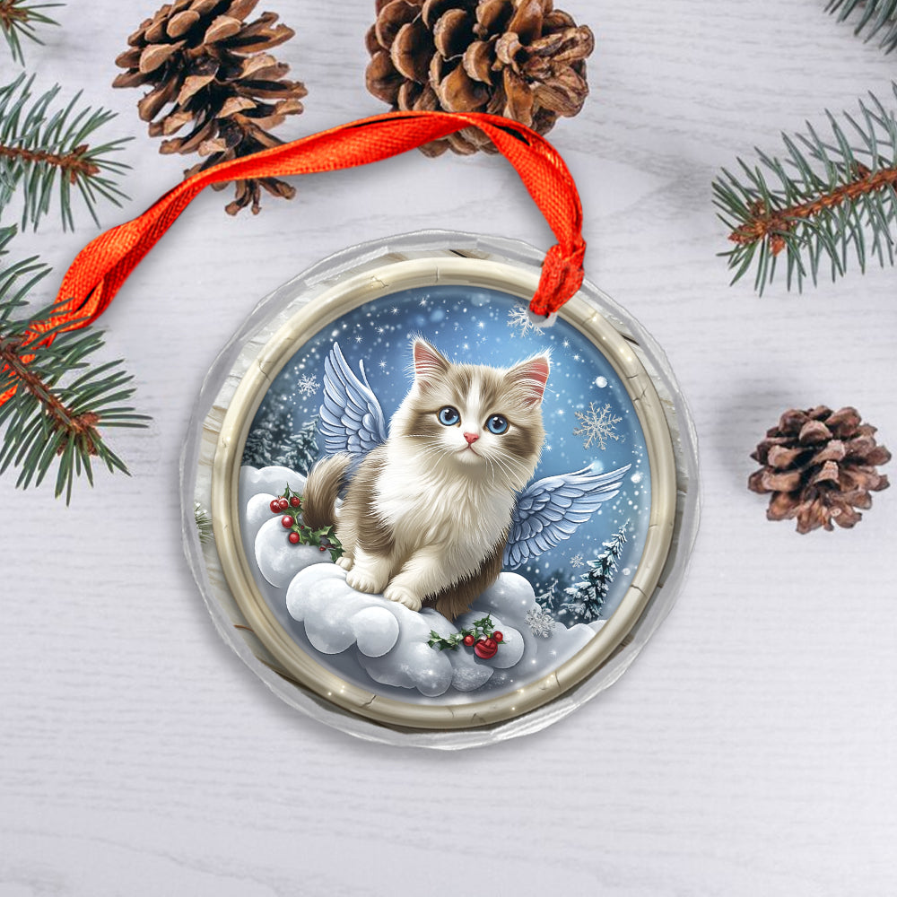 Angel Ragdoll Cat 2