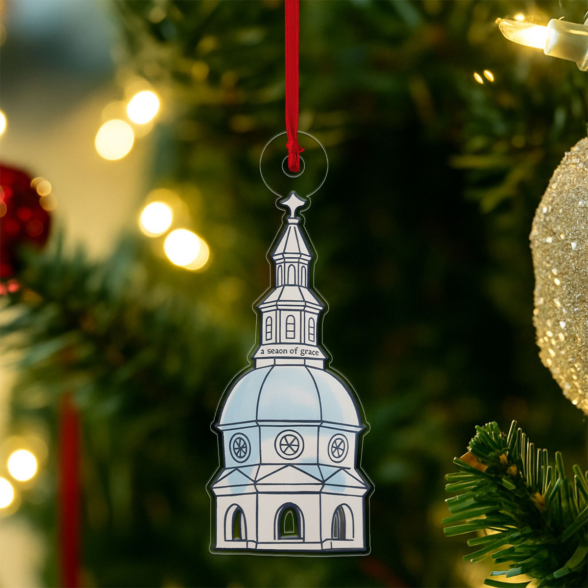 Custom Trendy State House