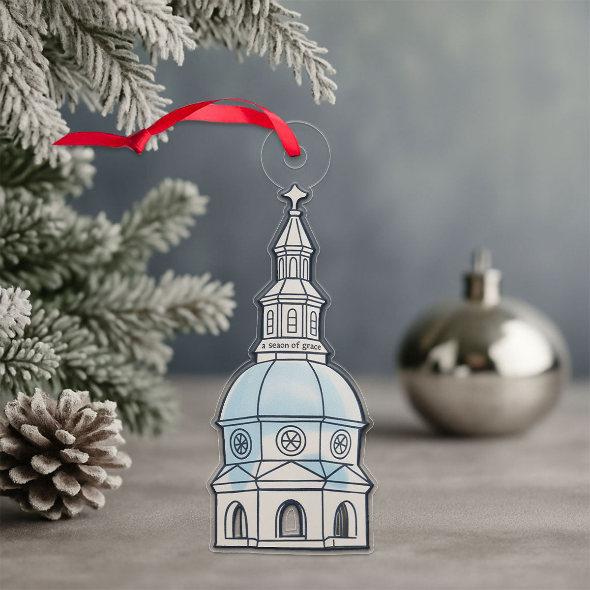 Custom Trendy State House