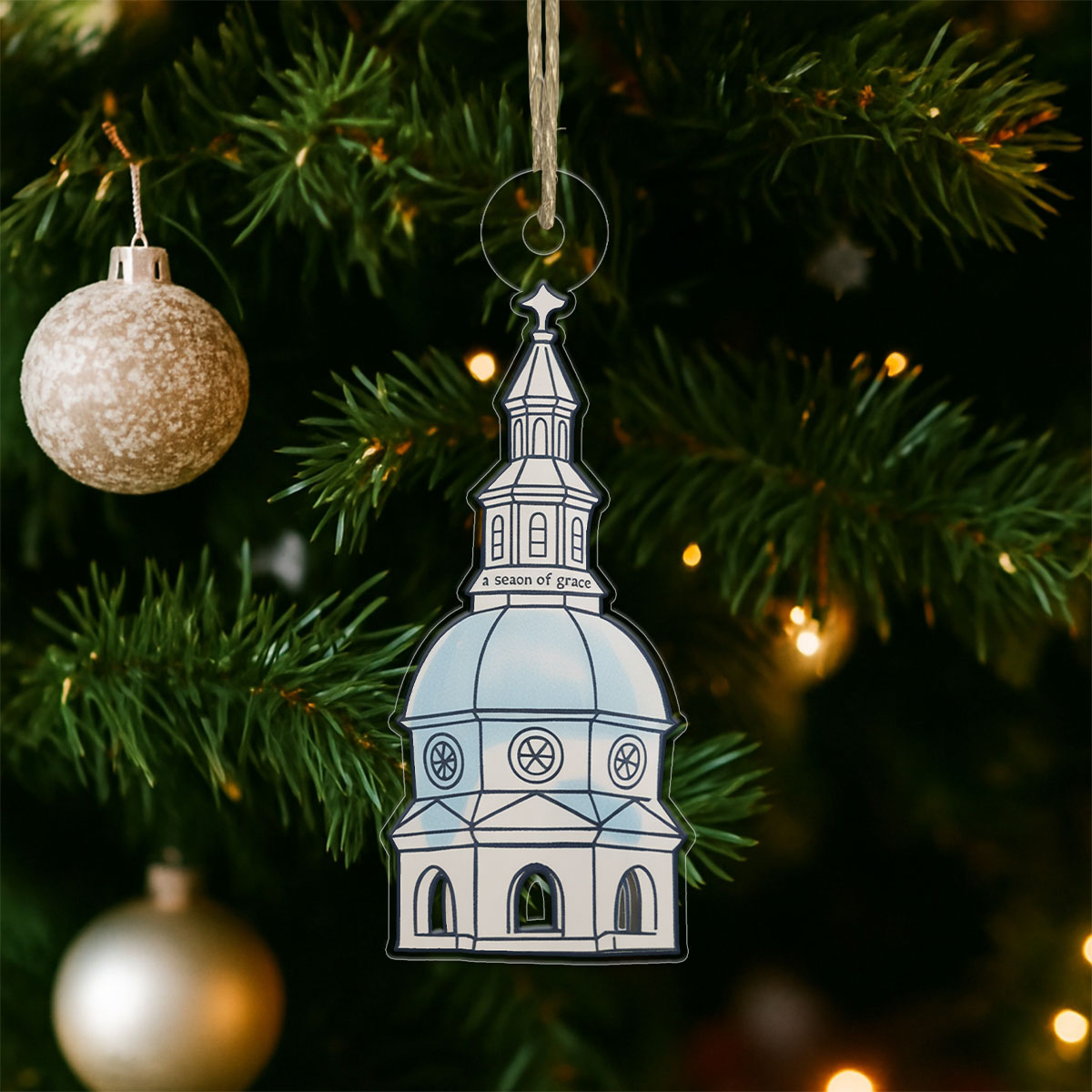 Custom Trendy State House