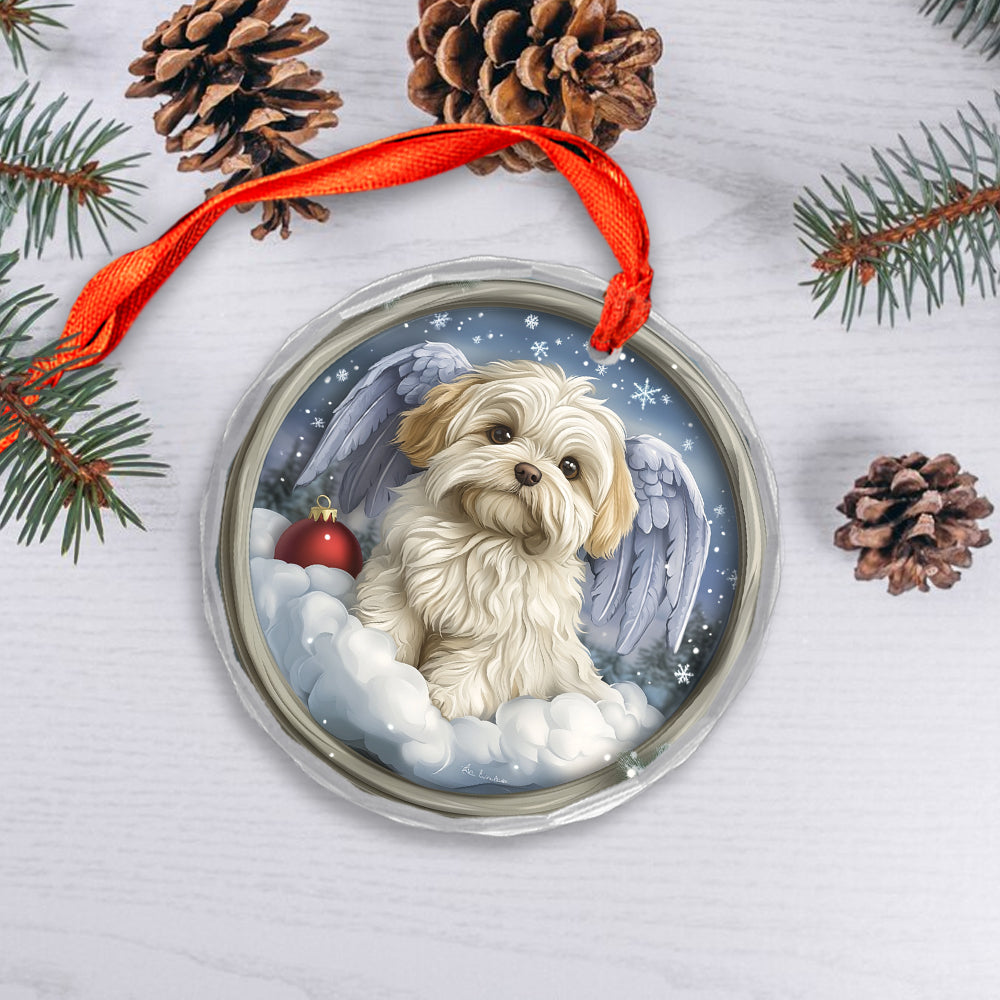 Angel Maltese Dog 3