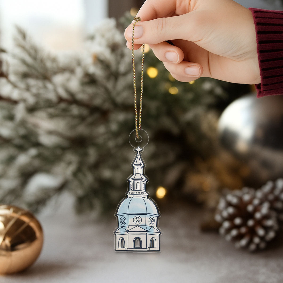 Custom Trendy State House