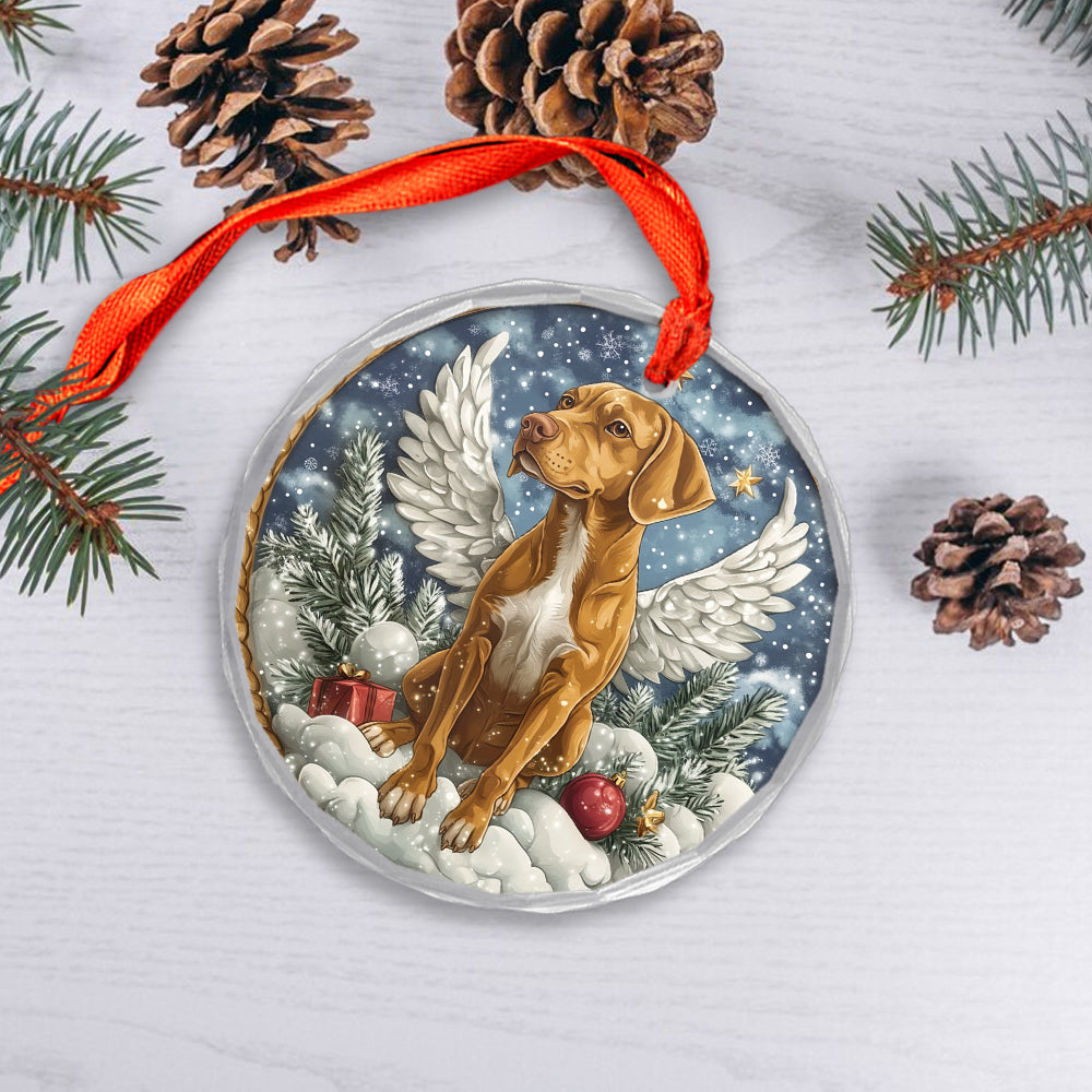 Angel Rhodesian Ridgeback Dog 1