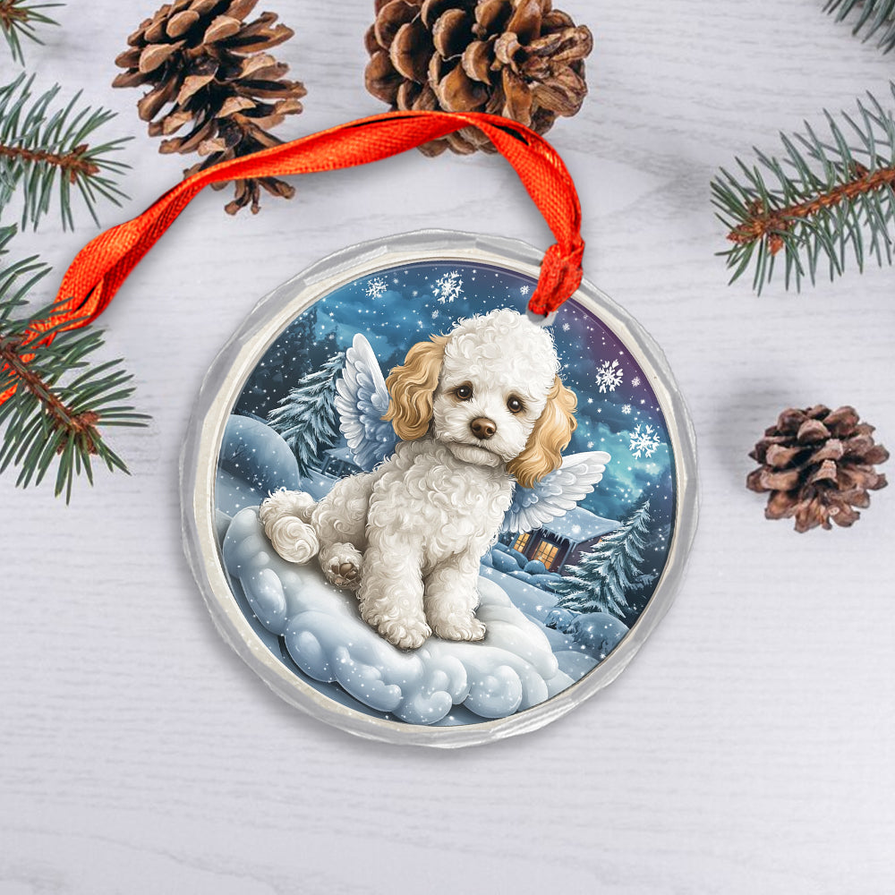 Angel Poodle Dog 1
