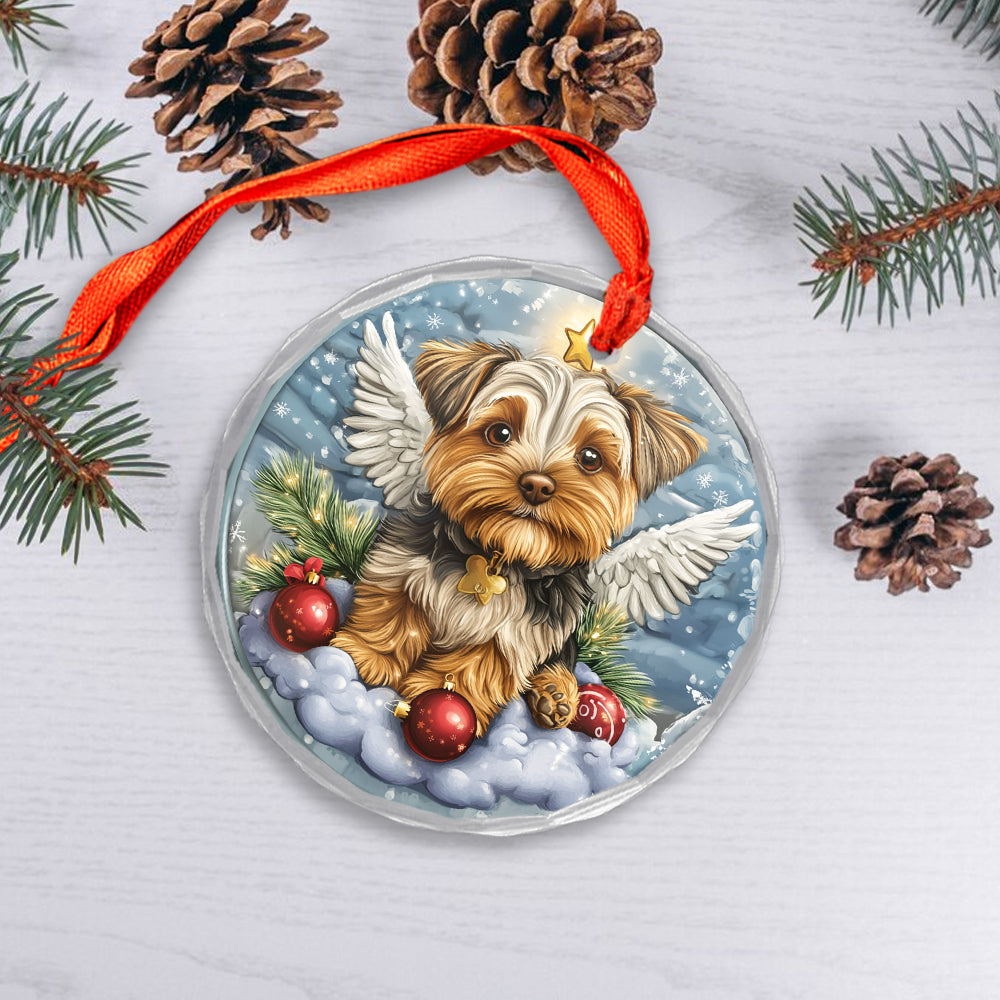 Angel Yorkshire Terrier Dog 3
