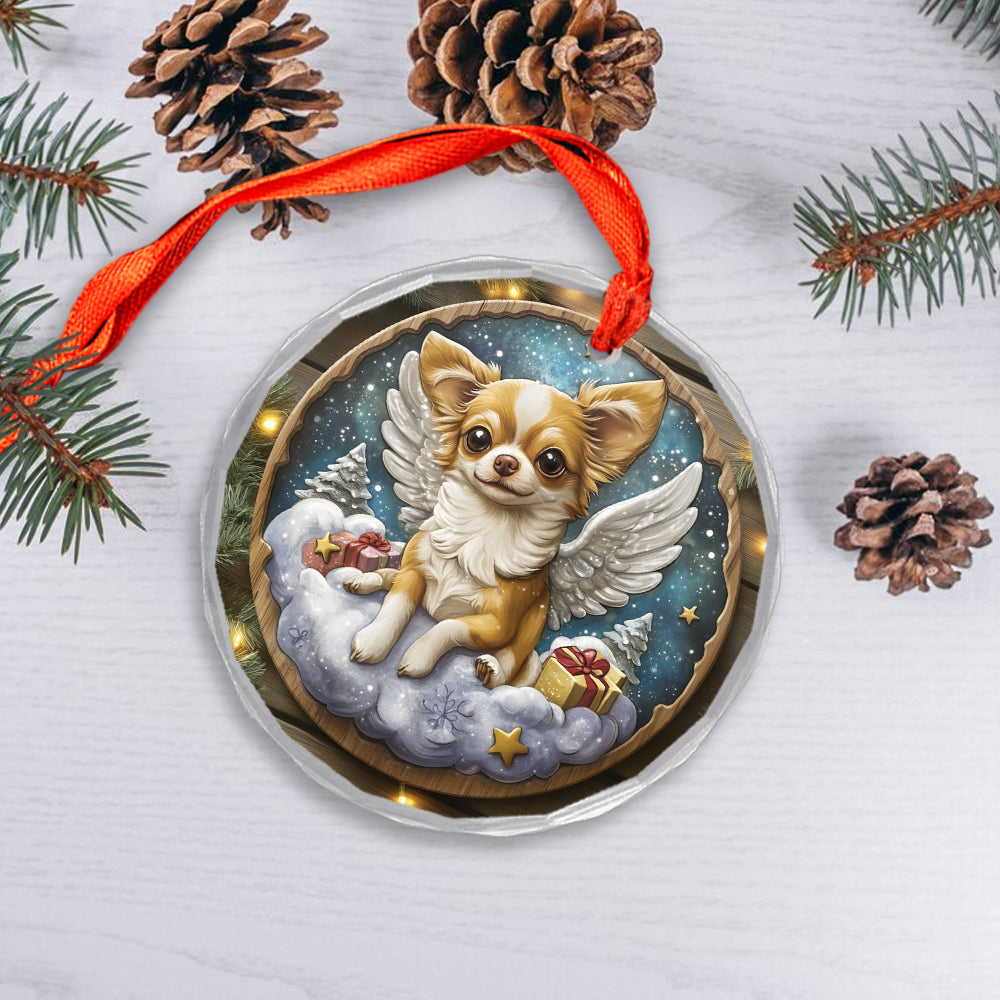 Angel Chihuahua Dog 4