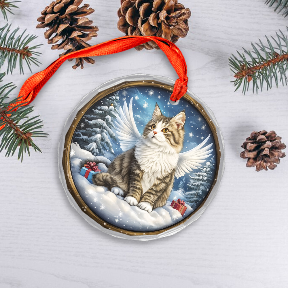 Angel Siberian Cat 3